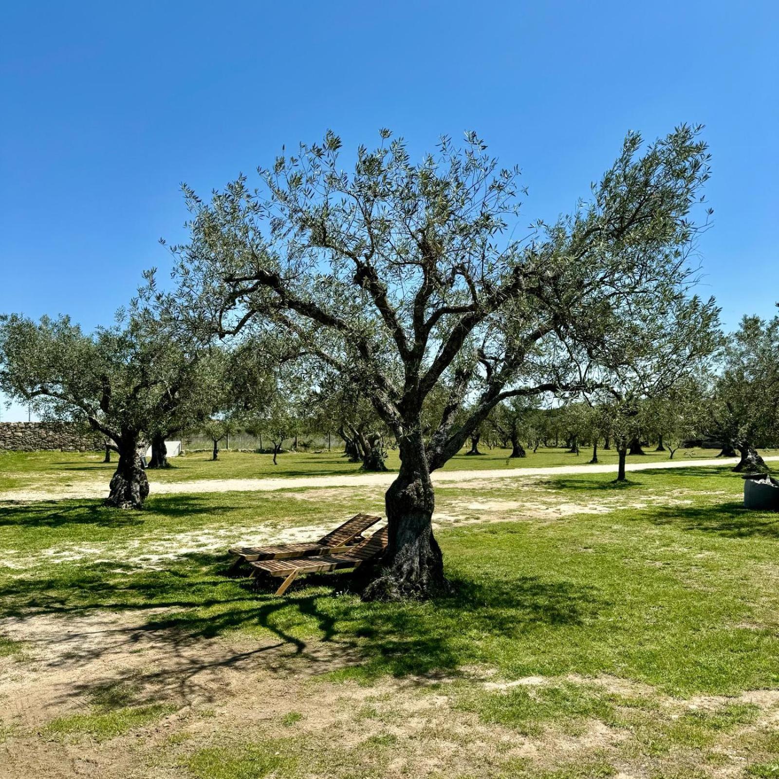 Quinta Do Nobre Βίλα Marialva Εξωτερικό φωτογραφία