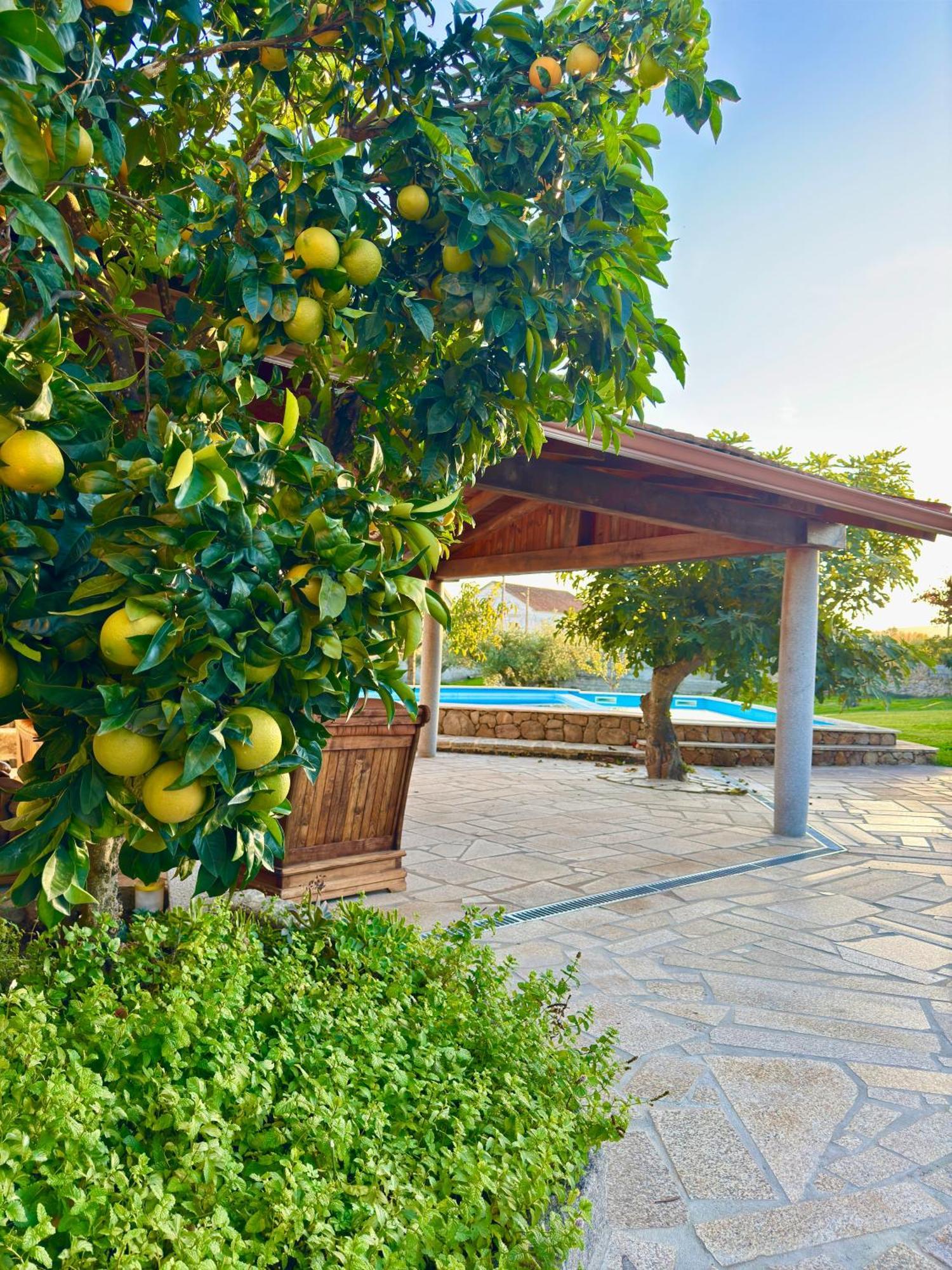 Quinta Do Nobre Βίλα Marialva Εξωτερικό φωτογραφία